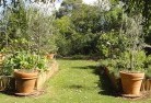 Belgrave Southvegetable-gardens-3.jpg; ?>